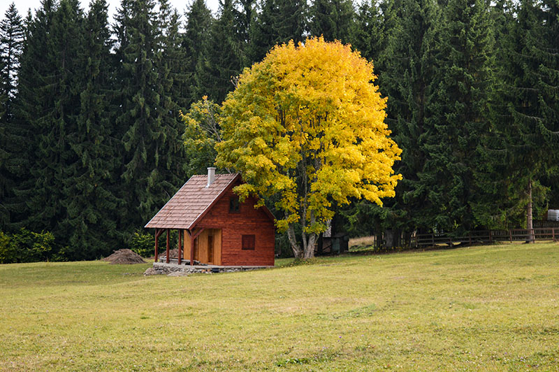Дом в лесу осенью